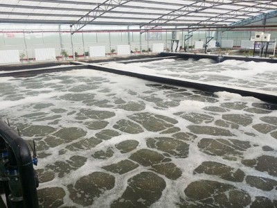 高寒地區(qū)生活污水處理技術(shù)解決方案