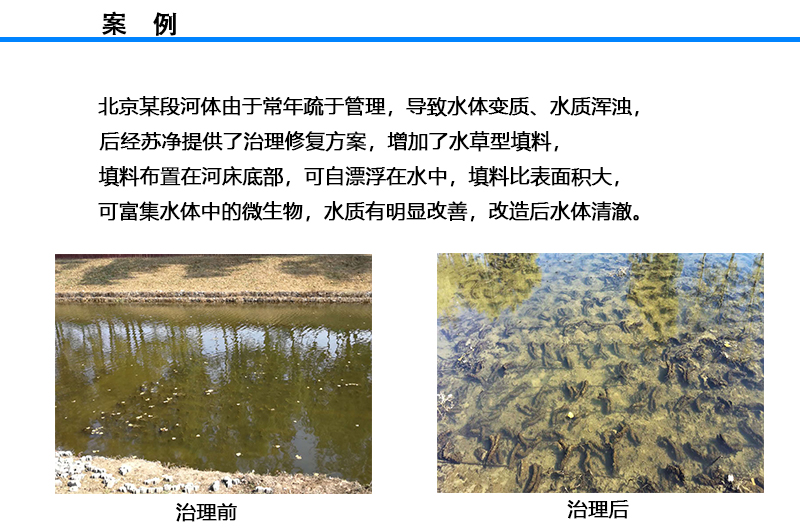 蘇凈河道修復填料