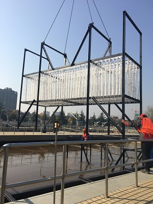 市政污水提標改造