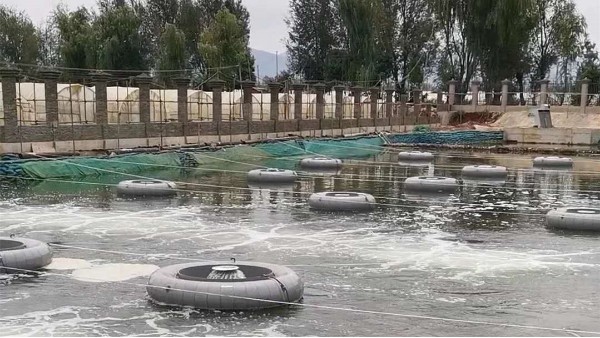 昆明滇池某河道修復填料案例