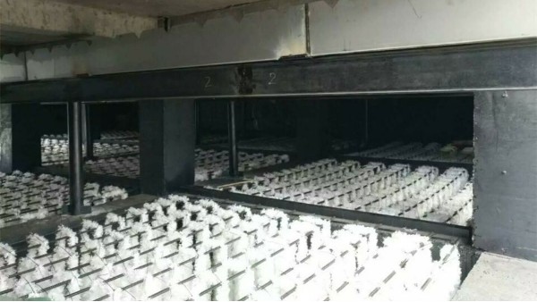 內(nèi)蒙西來峰煤化工填料案例